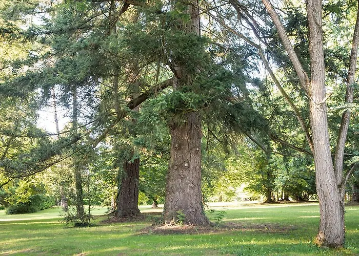Chateau De Maraval Hotel Cénac-et-Saint-Julien