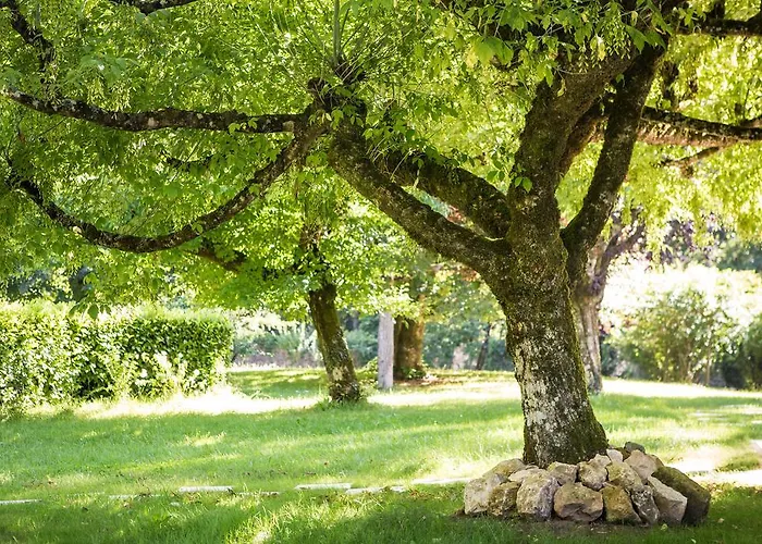 Hotel Chateau De Maraval 4*